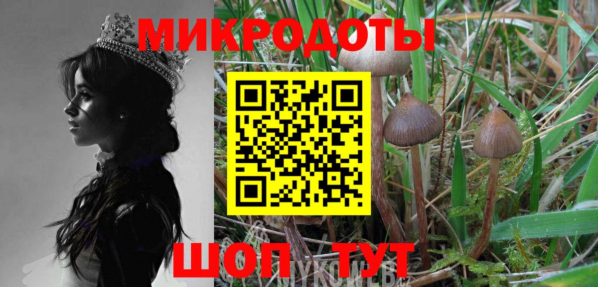 Галлюциногенные грибы мицелий  Псилоцибиновые грибы Psilocybine cubensis  Нальчик  Вход с VPN 